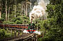 Historic Puffing Billy Steam Train